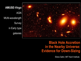 AMUSE-Virgo on the survival of super-massive black holes