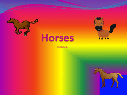 Horses - bYTEBoss