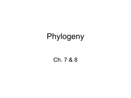 7-phylogeny_ch7&8 - of Timothy L. Bailey