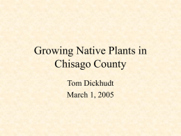 native plant lecture powerpoint march 2005
