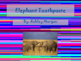 Elephant Toothpaste.docxx
