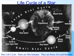 Star Life Cycle - White Plains Public Schools