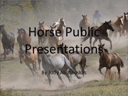 Horse Public Presentations - Cornell Cooperative Extension of