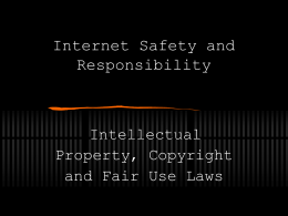 Intellectual Property, Copyright and Fair Use Laws