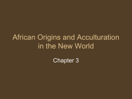 African Origins and Acculturation in the New World