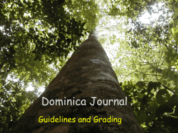 Dominica Journal