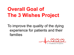 3 Wishes Project Summary Slides