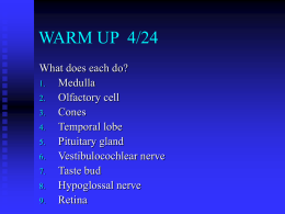 WARM UP 4/24