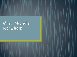 Open house presentation - Mrs. Nichols` Narwhals