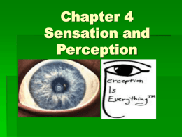 Chapter 4 - Sensation and Perception