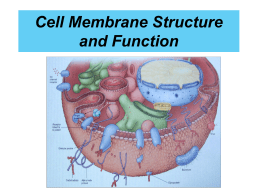 Cell Membrane and Transport