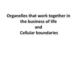 Organelles that work together in the business of life and Cellular