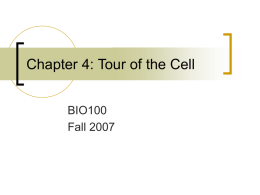 Chapter 4: Tour of the Cell