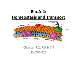Bio.A.4: Homeostasis and Transport