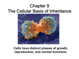 Chapter 9 Notes (Cell Reproduction)