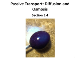 Section 3.4 Notes: Passive Transport (diffusion and Osmosis)