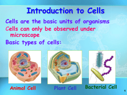 Types of cells and organelles