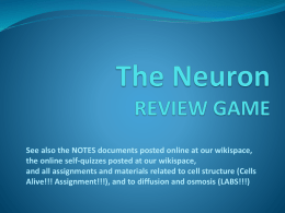 REVIEW GAME The Neuron
