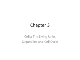 Cells - Organelles and Cell Cycle