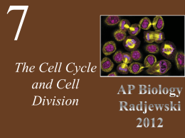 File - Biology with Radjewski