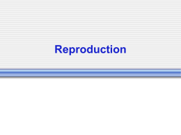 Intro (MITOSIS)(Asexual Reproduction).