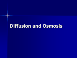 Diffusion and Osmosis PowerPoint