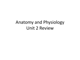 Anatomy and Physiology Unit 2 Review