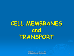 AS Biology FOUNDATION Chapter 4 CELL MEMBRANES and