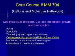 Dr Asmat Salim MM 704 stem cells
