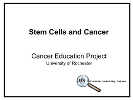 Stem Cells - University of Rochester Medical Center