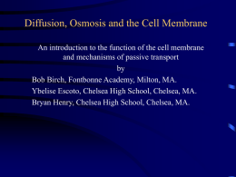 Diffusion, Osmosis and the Cell Membrane