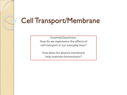 Cell Transport/Membrane