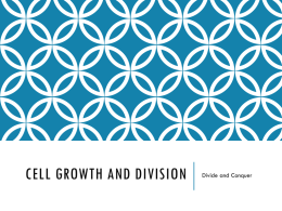 Cell Growth and Division - Edmonds School District / Overview