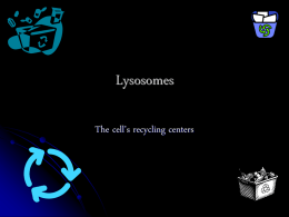 Lysosomes - Denver Public Schools