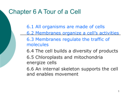 Chapter 6 A Tour of a Cell - Christopher Dock Mennonite