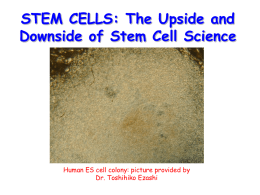 STEM CELLS - Division Of Animal Sciences