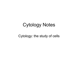 Cytology Notes