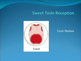 Sweet Taste Reception - University of Maryland, College Park