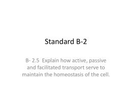 Standard B-2