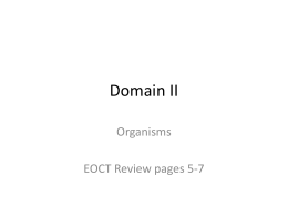 Domain II - Mr. Curtis' Biology Site