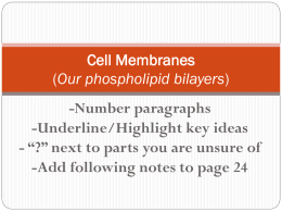 Cell Membranes (Our phospholipid bilayers)