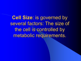 Cell Size: is governed by several factors: The size of the