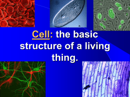 1665- THE CELL THEORY -1839