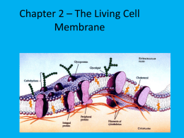 Chapter 2 – The Living Cell Membrane