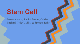 Stem Cell - West Branch Local School District