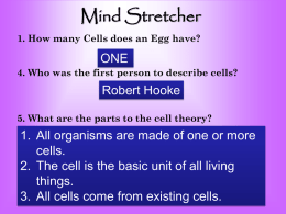 All Cells Have…….