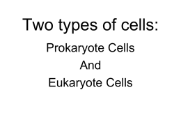 There are two types of cells