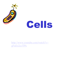 Cells- Osmosis and Diffusion