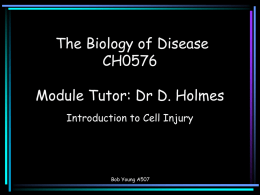 Cellular Basis of Disease
