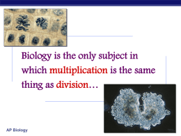 AP Bio Mitosis Overview